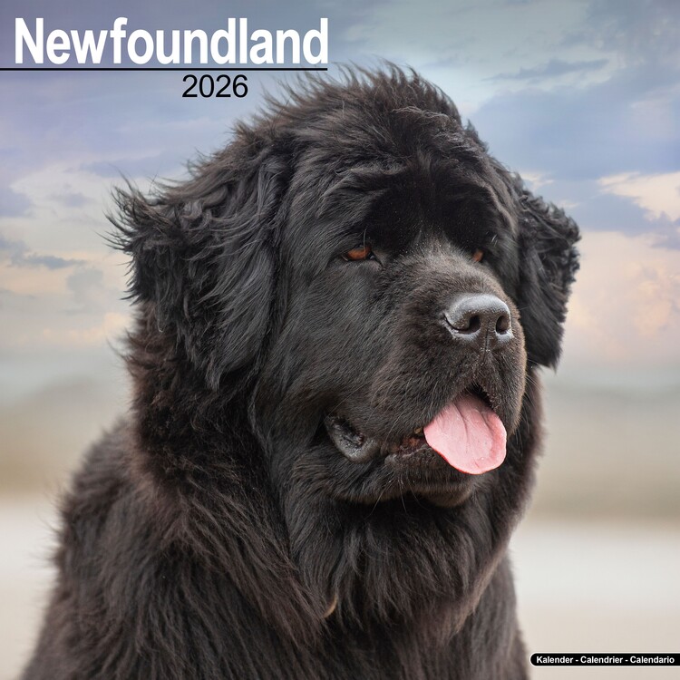 Naptár 2027 Newfoundland