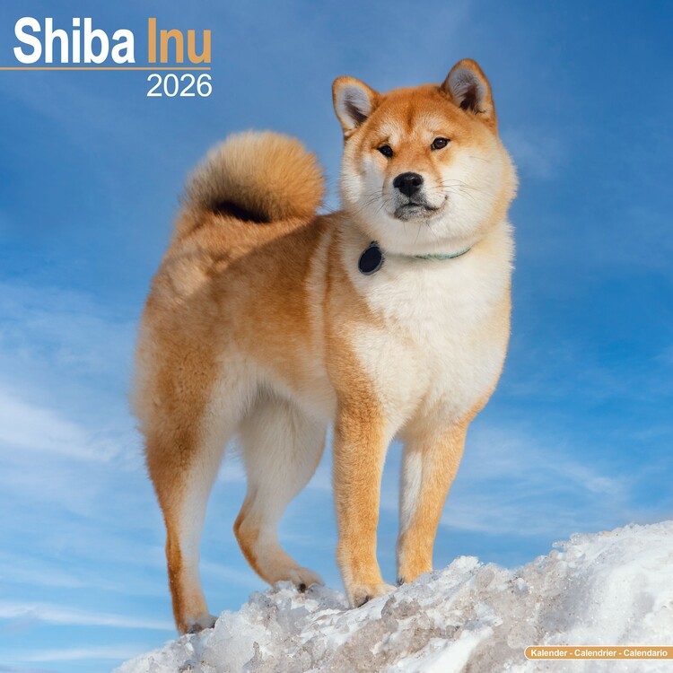 Calendario 2027 Shiba Inu