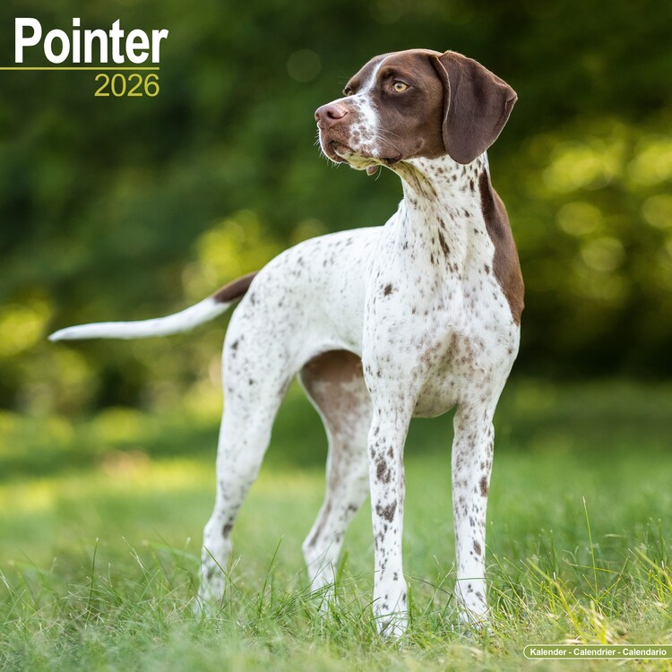 Calendrier 2027 Pointer