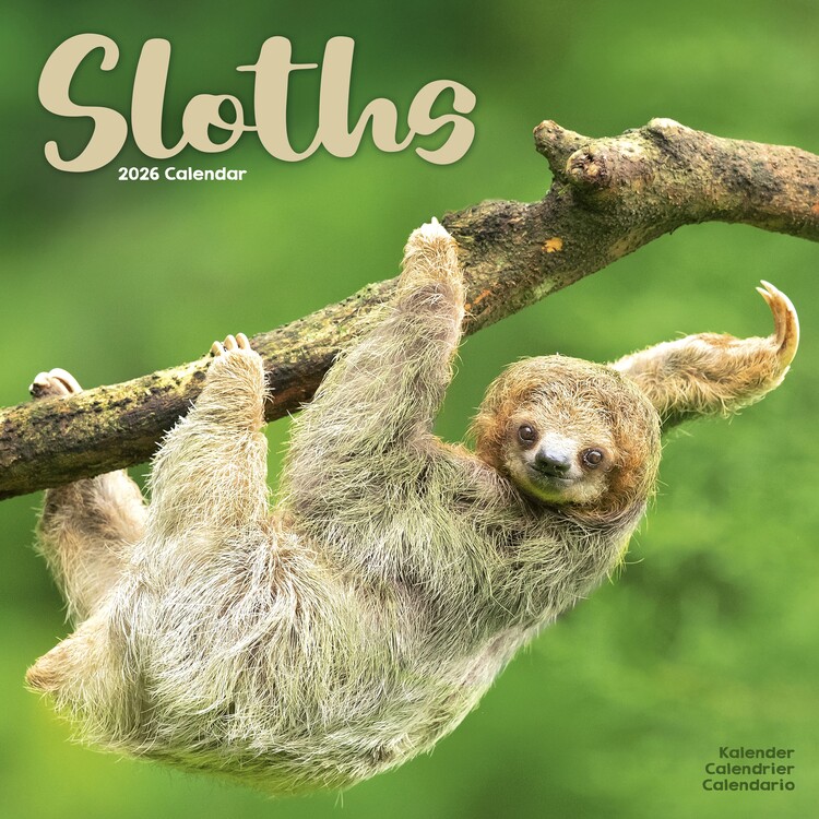 Naptár 2027 Sloths