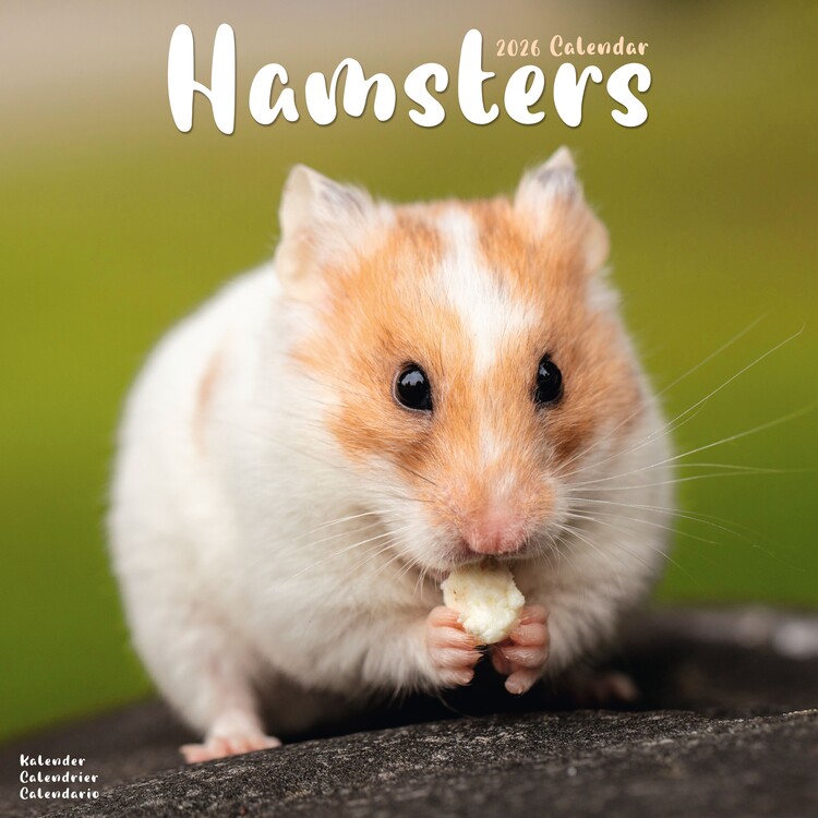 Naptár 2027 Hamsters