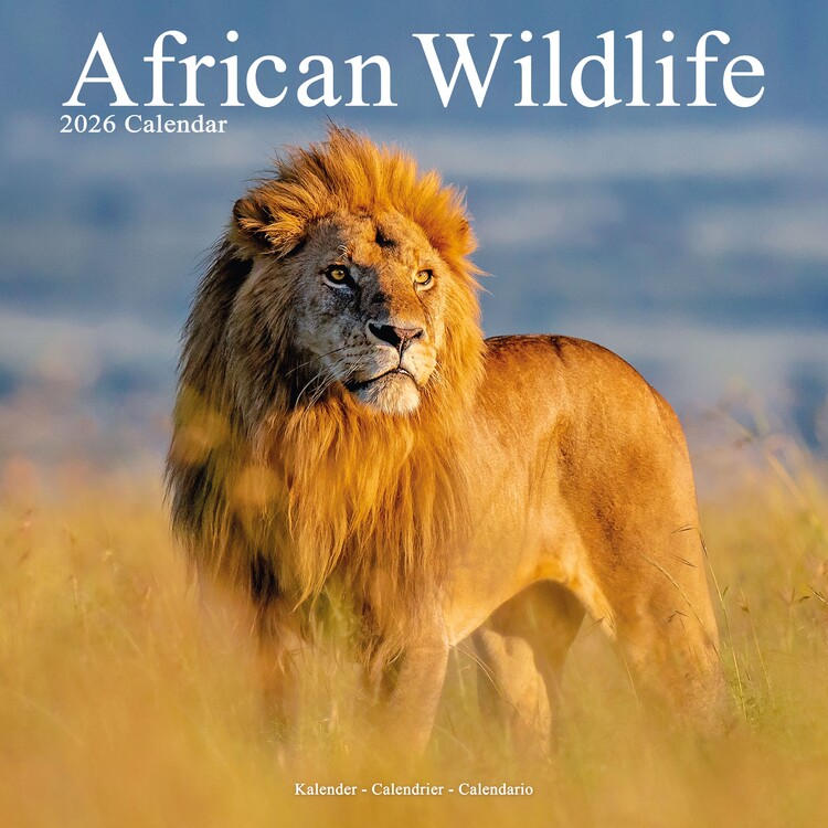 Calendario 2027 African Wildlife