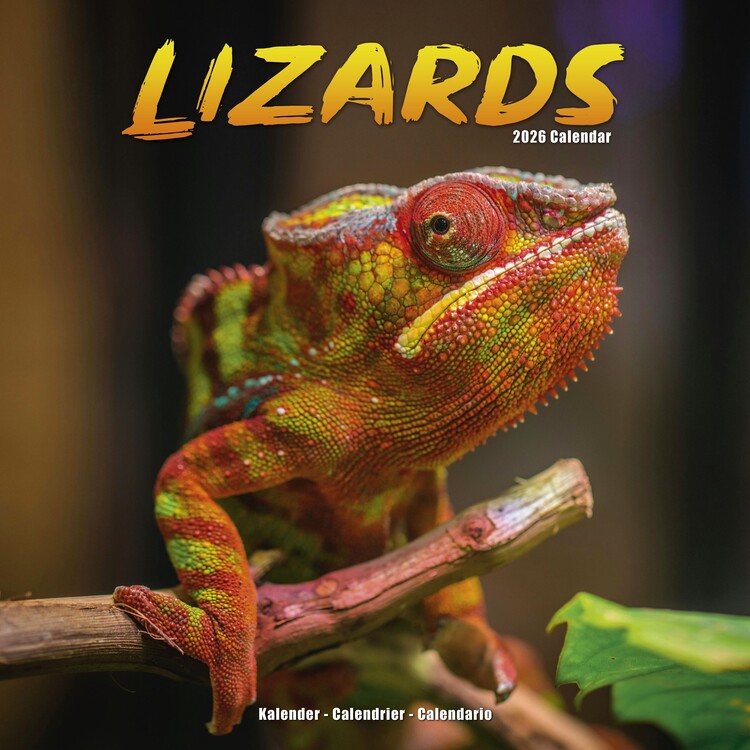 Naptár 2027 Lizards