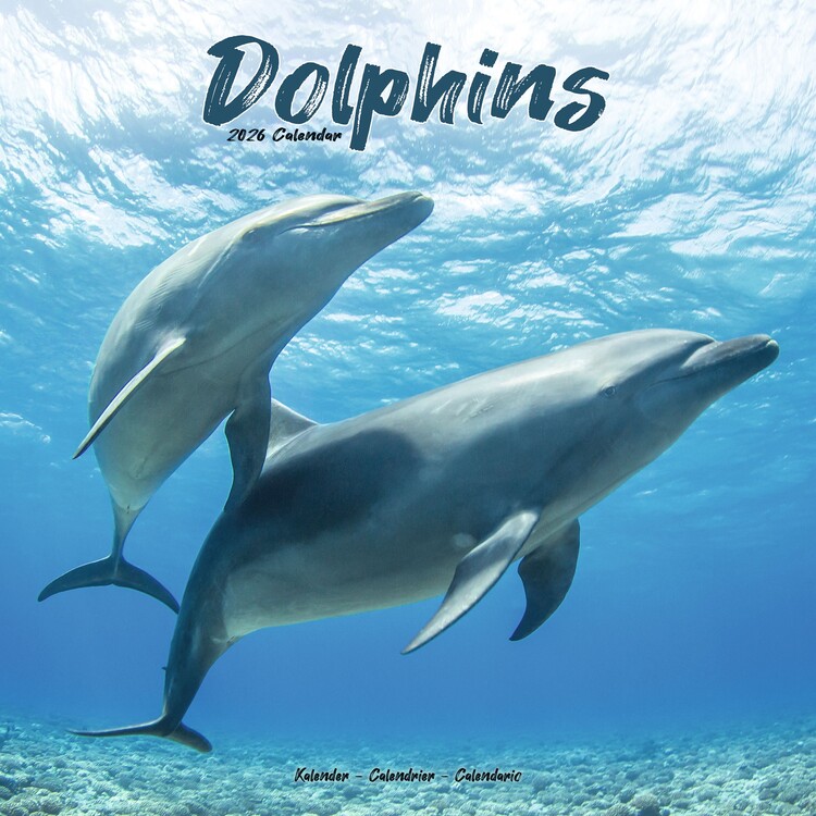Naptár 2027 Dolphins
