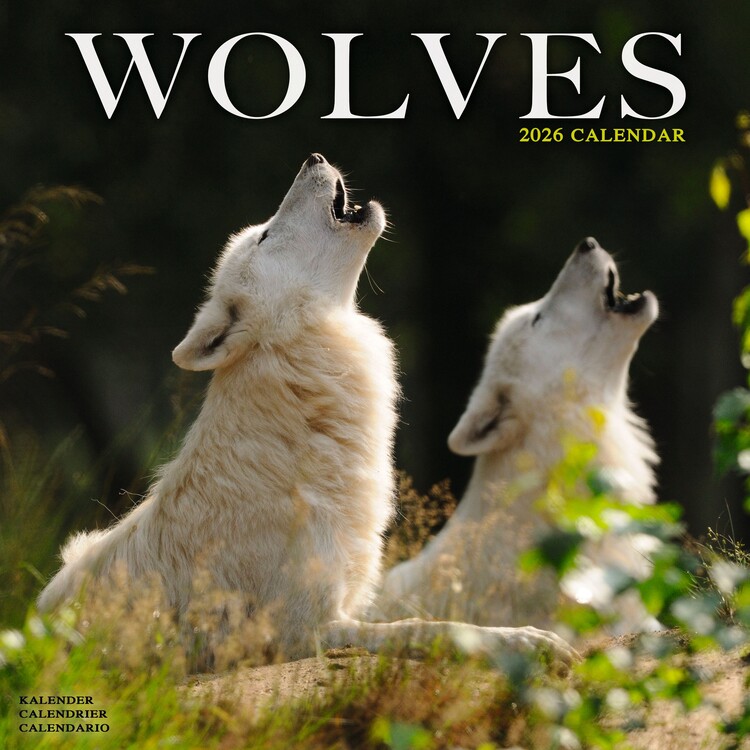 Calendrier 2027 Wolves