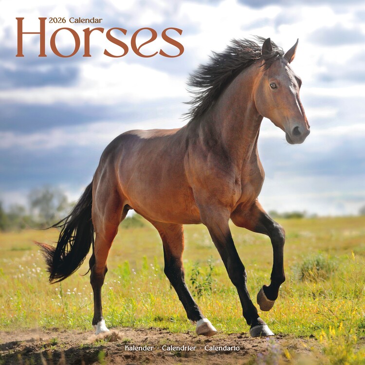 Calendario 2027 Horses