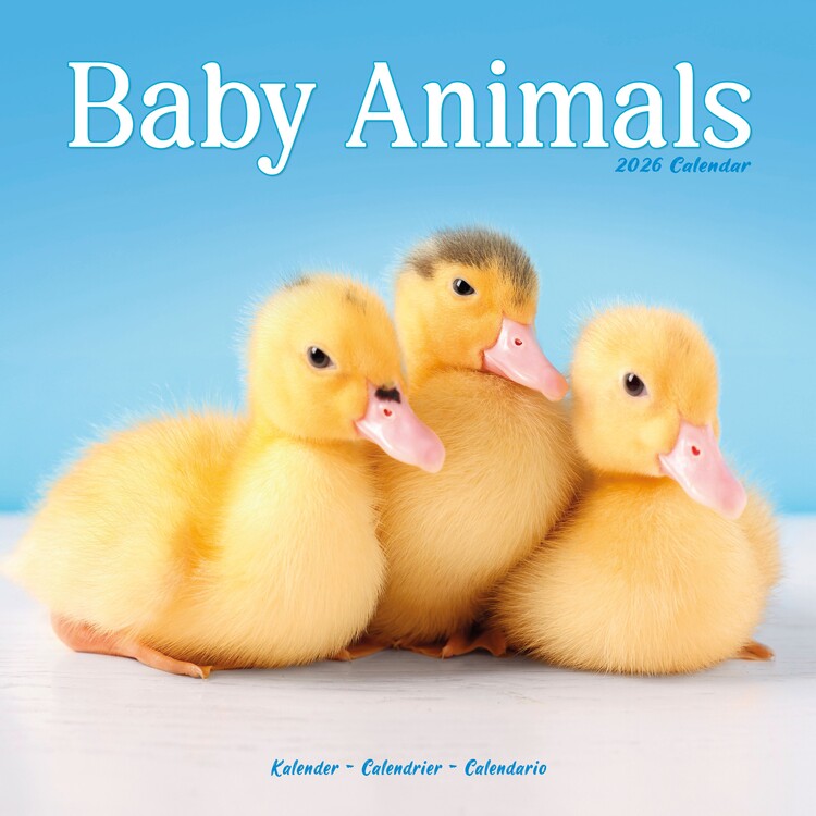 Kalender 2027 Baby Animals