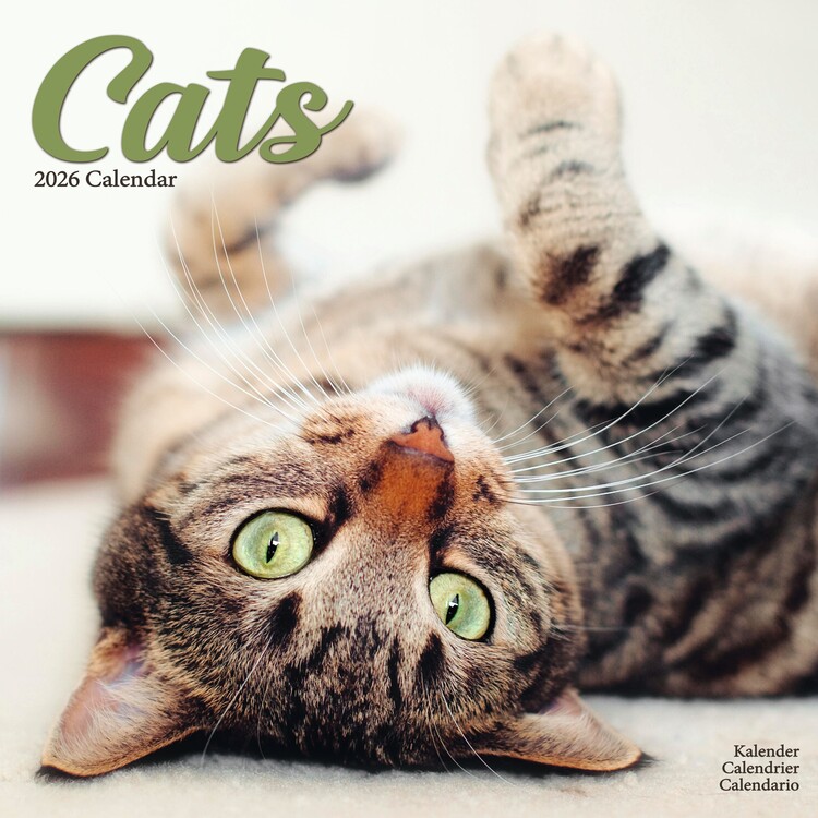 Naptár 2027 Cats