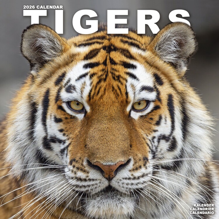 Naptár 2027 Tigers