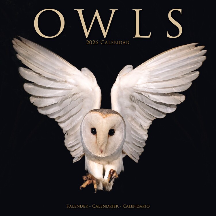 Naptár 2027 Owls