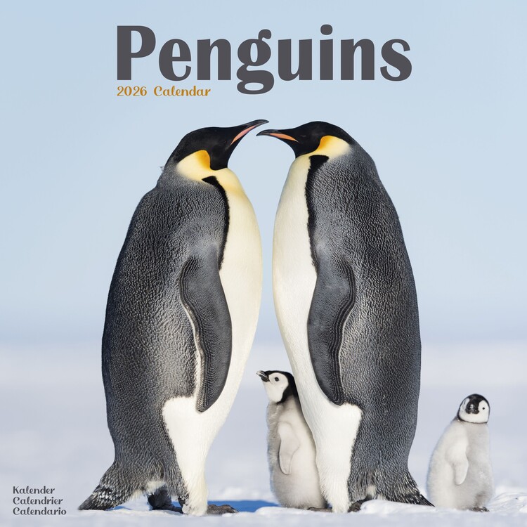 Kalender 2027 Penguins
