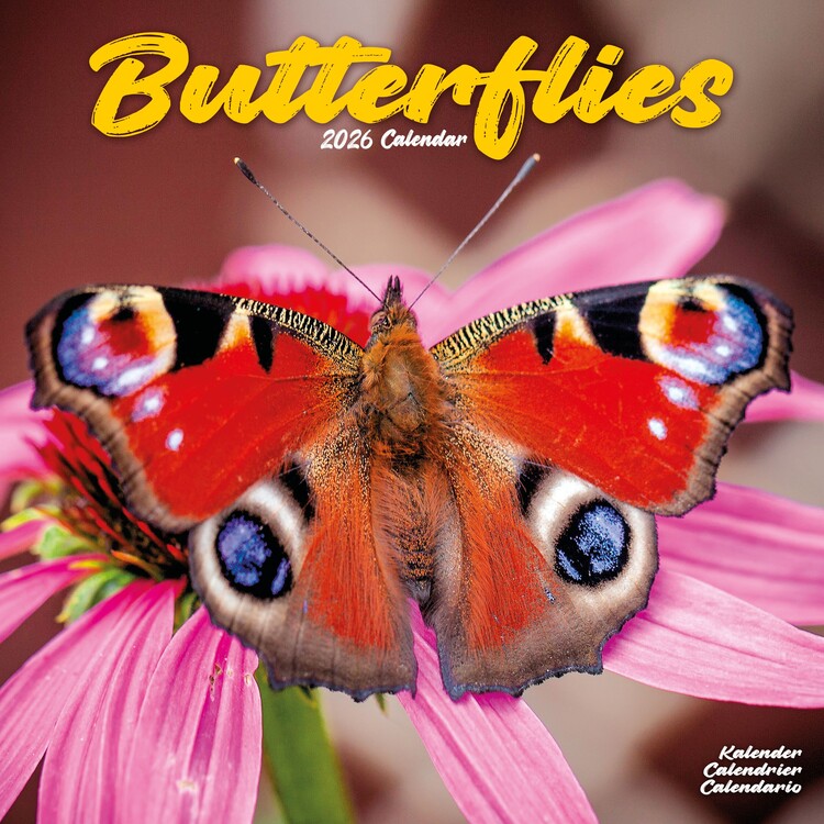 Naptár 2027 Butterflies