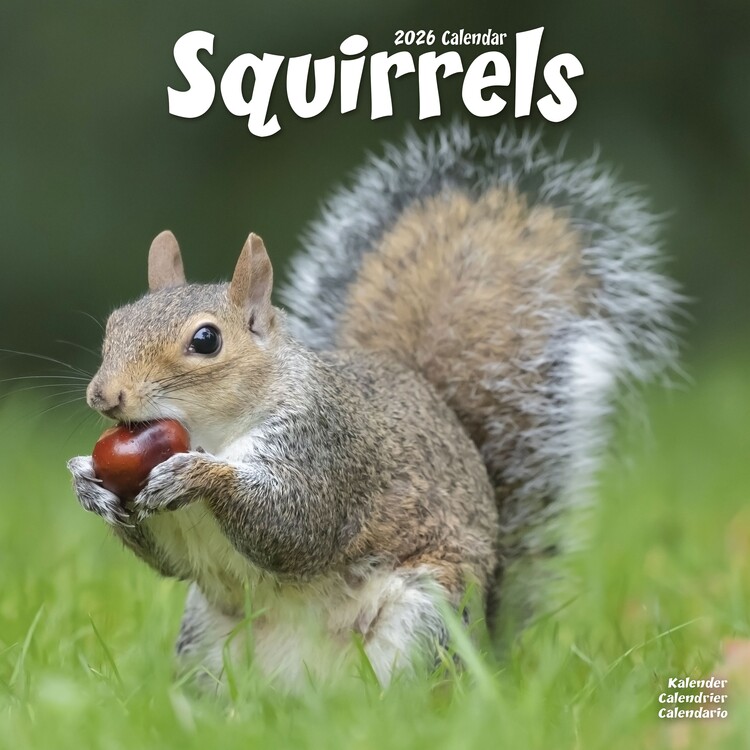 Naptár 2027 Squirrels
