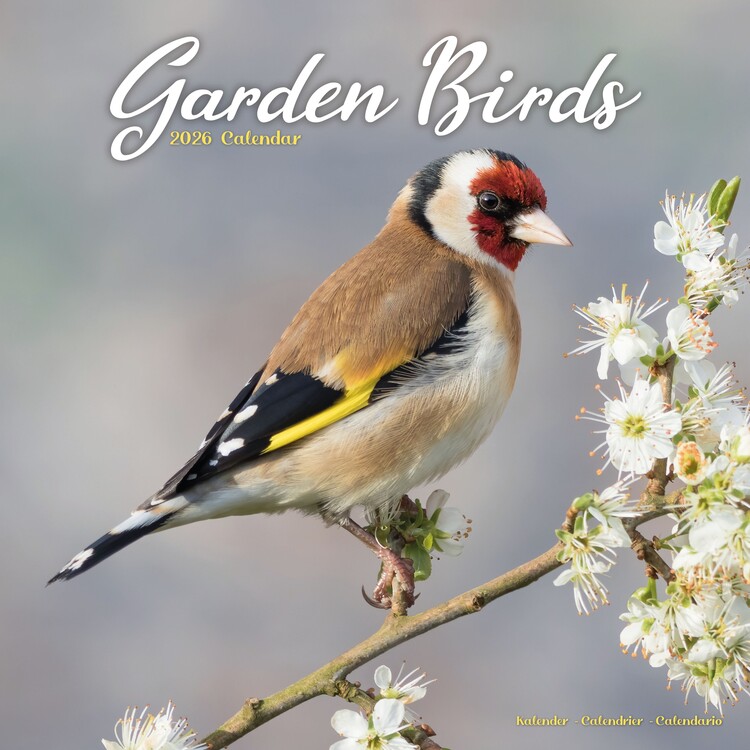 Kalender 2027 Garden Birds