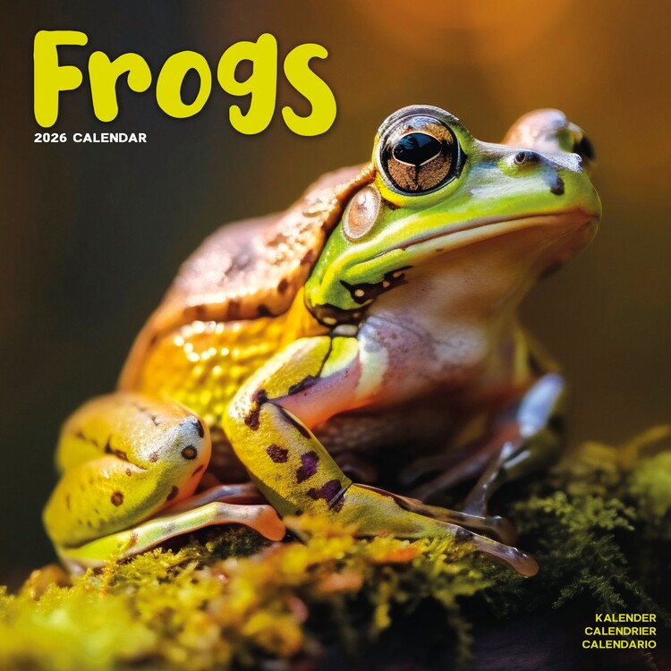 Naptár 2027 Frogs