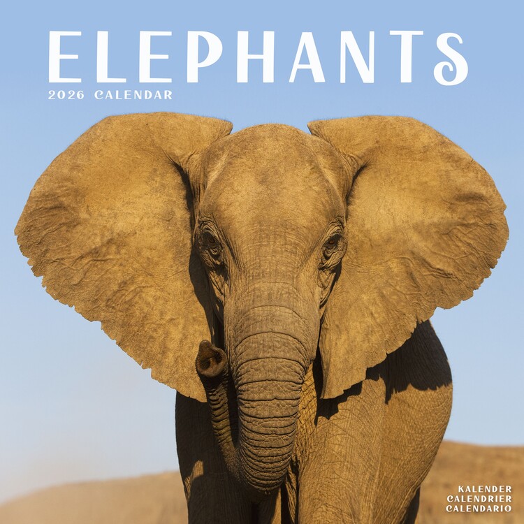 Naptár 2027 Elephants