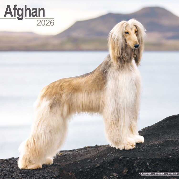 Naptár 2027 Afghan