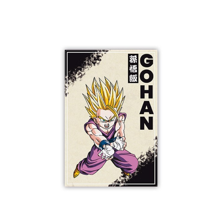 Aimant Dragon Ball - BZ/Gohan