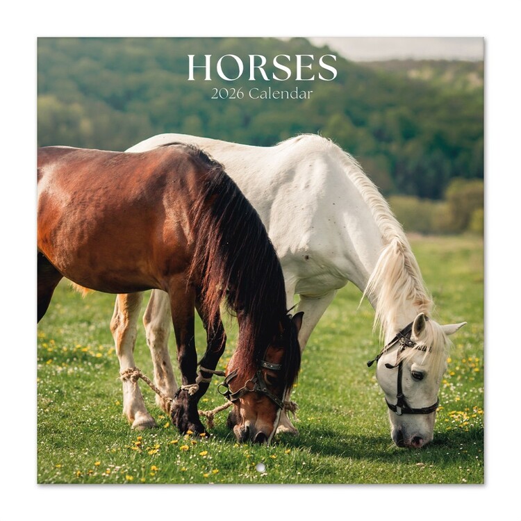 Kalender 2027 Horses