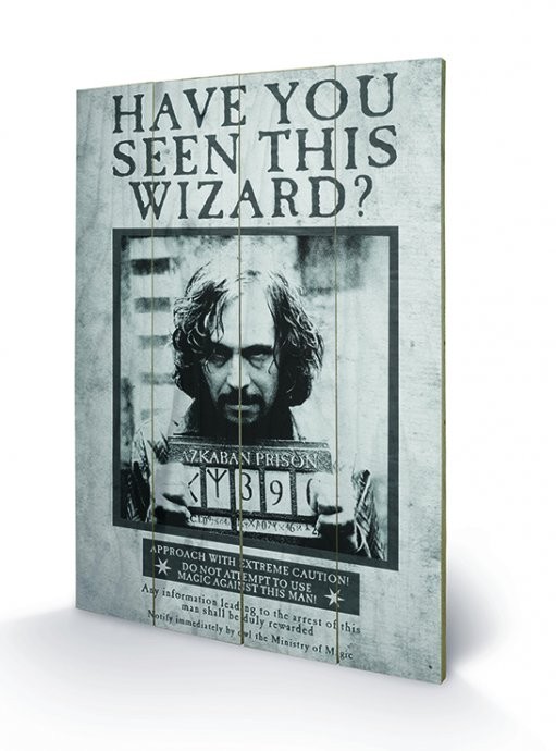 Bild auf Holz Harry Potter - Sirius Wanted