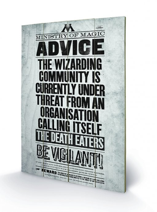 Obraz na drewnie Harry Potter - Be Vigilant