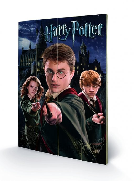 Poster su legno Harry Potter – Harry, Ron, Hermione