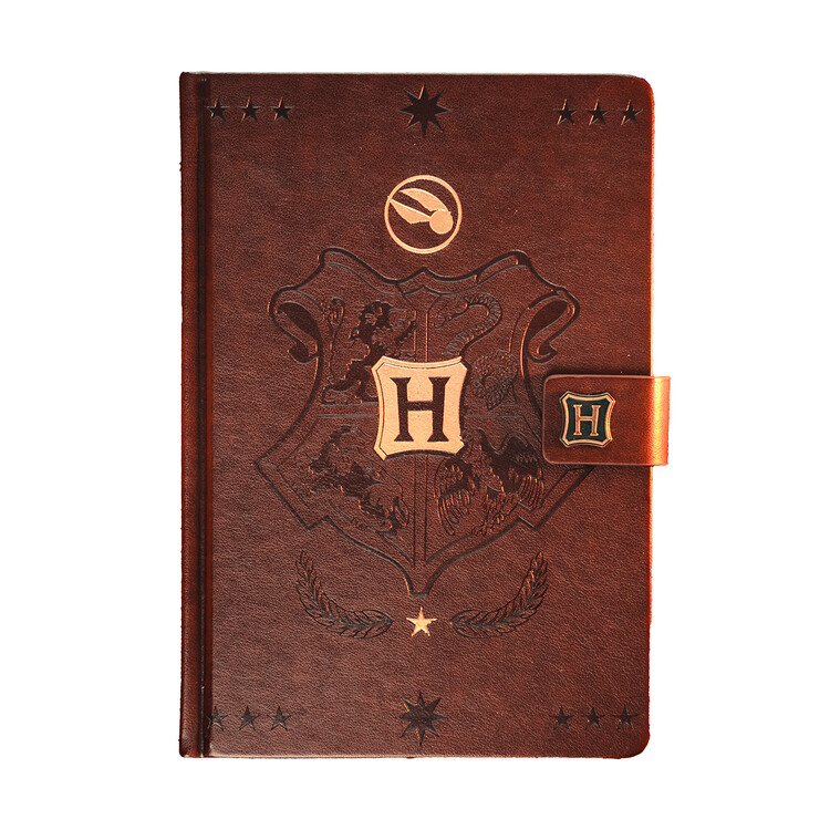 Carnet Harry Potter - Vif d'or