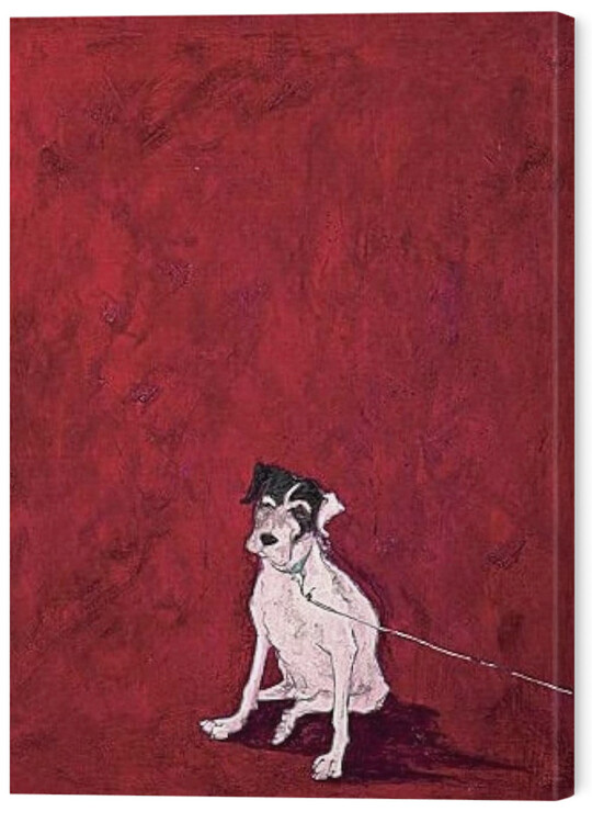 Schilderij op canvas Sam Toft - Lucky Legsie