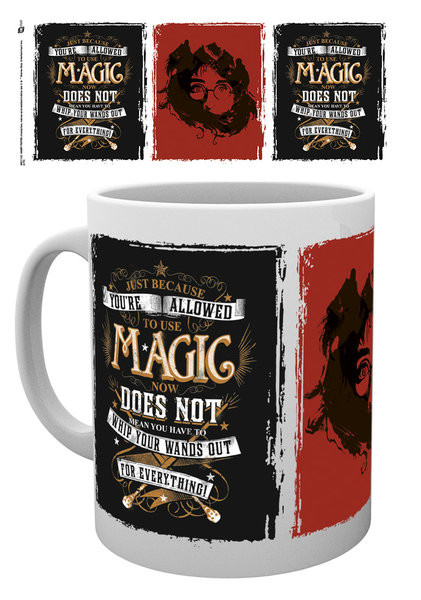 Tazza Harry Potter - Whip Your Wand Out