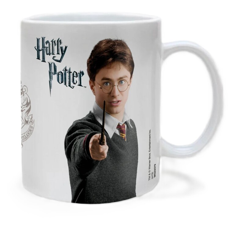 Mugg Harry Potter