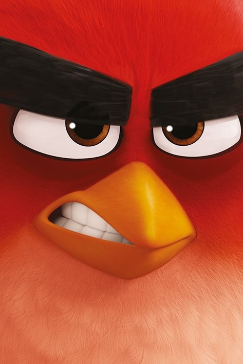 Poster Angry Birds - Red