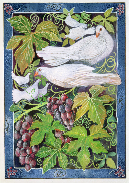 Poster Doves, 1996