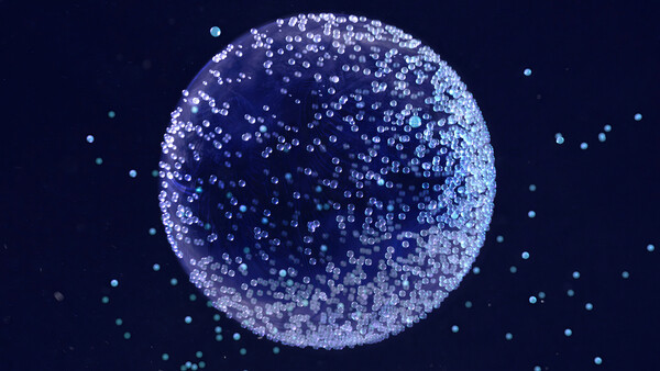 Poster Spherical Accumulation Structure, c.2015-2025