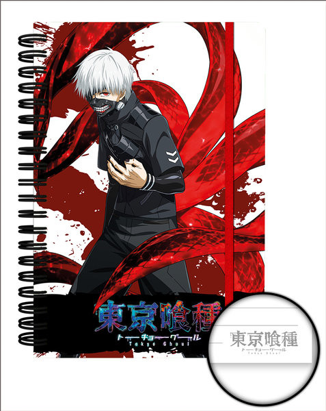 Zápisník Tokyo Ghoul - Ken