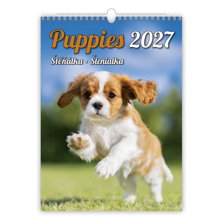 Naptár 2027 Puppies