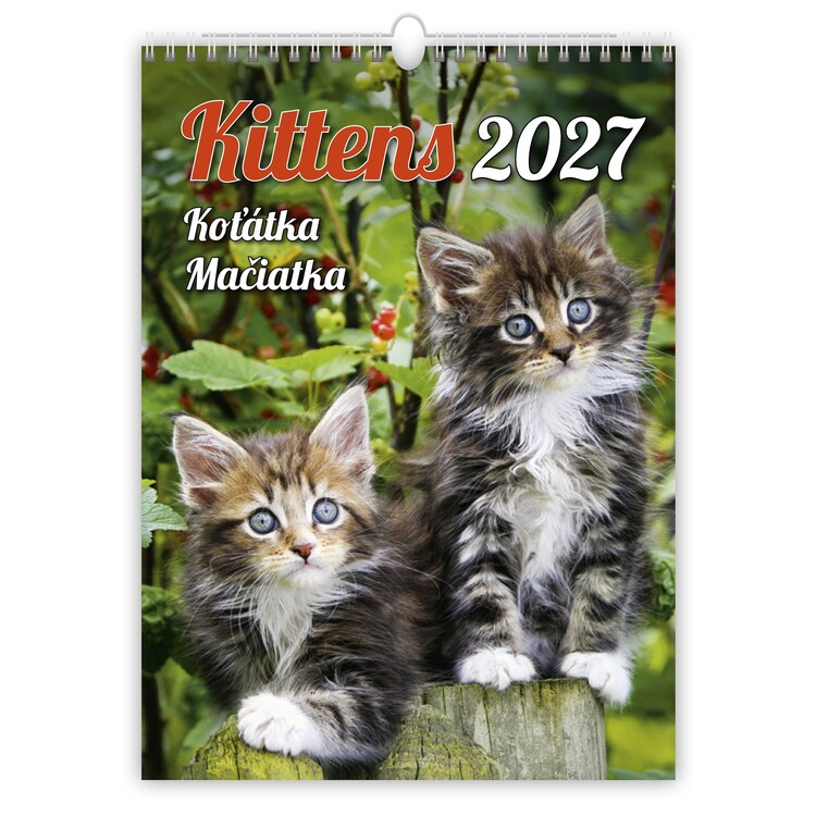 Calendrier 2027 Kittens