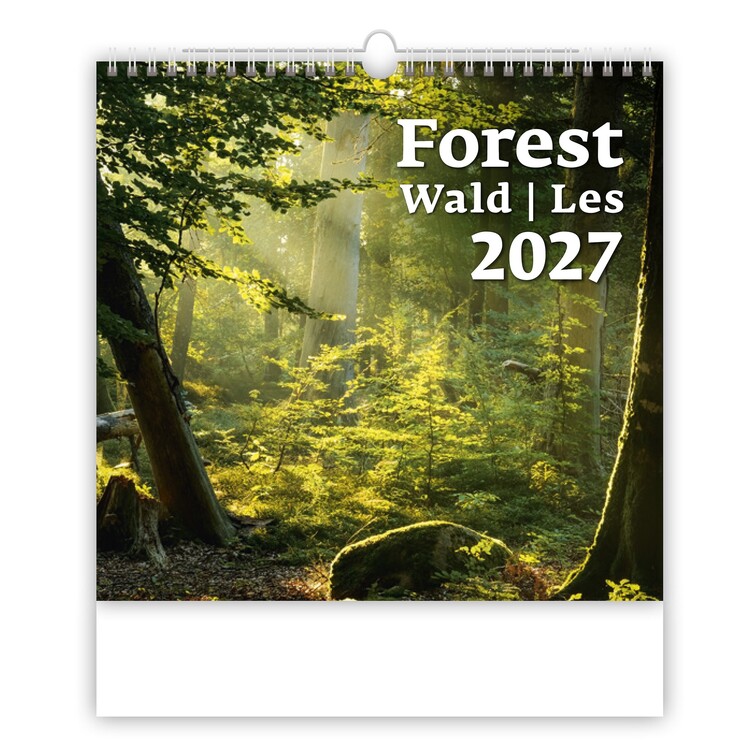 Levně Kalendář 2027 Forest, 30 x 30 cm