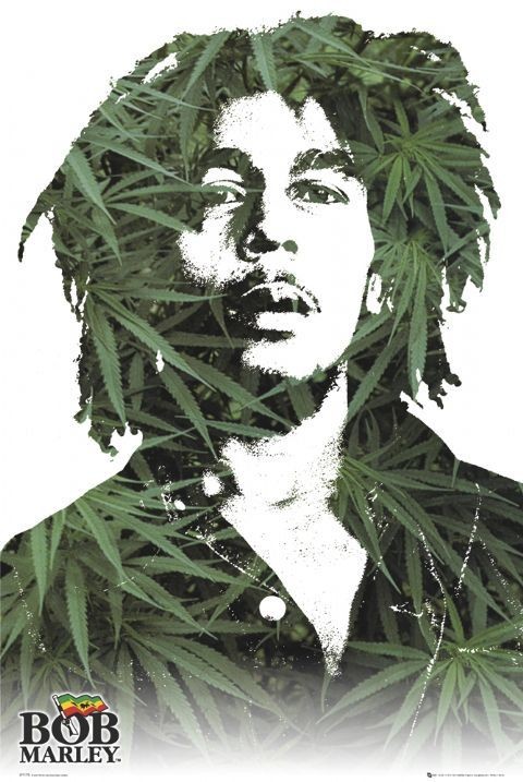 Plakát Bob Marley - leaves
