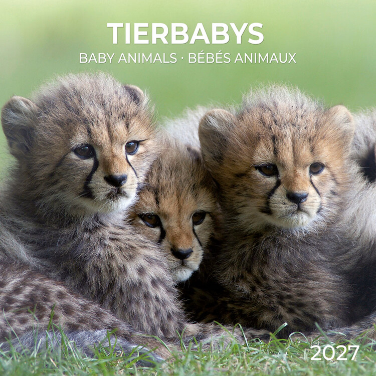 Calendario 2027 Baby Animals