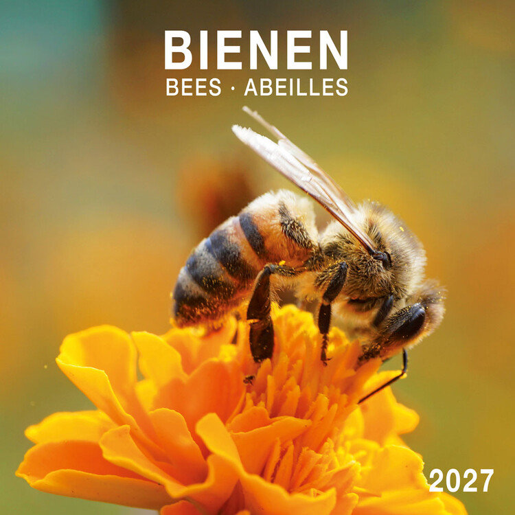 Calendario 2027 Bees