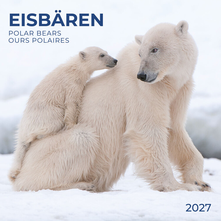 Kalender 2027 Polar Bears
