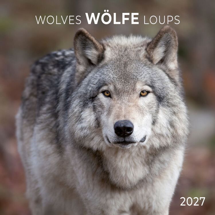 Kalender 2027 Wolves