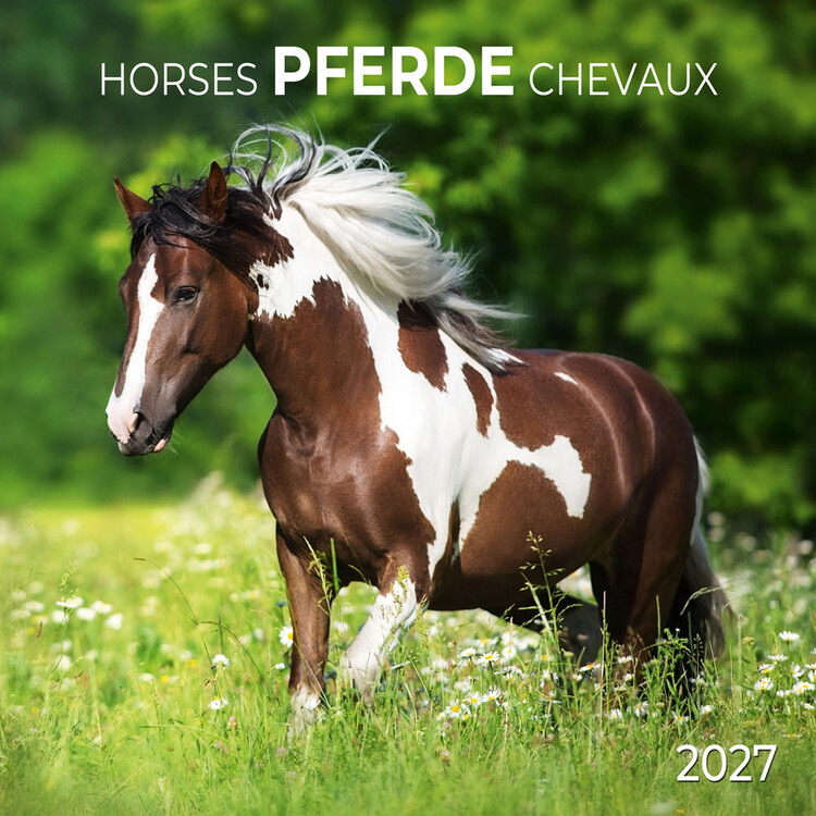 Calendario 2027 Horses