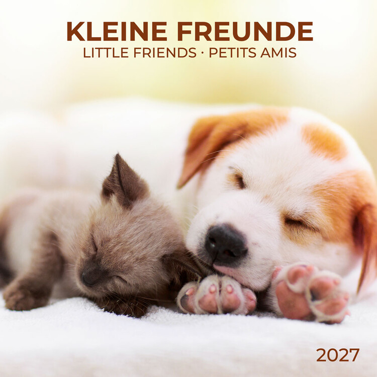 Kalender 2027 Little Friends