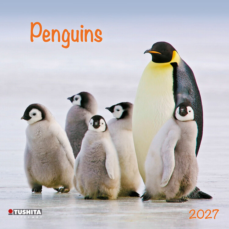 Kalender 2027 Penguins | 16-monatig