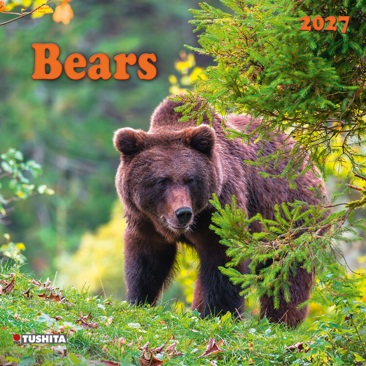Calendario 2027 Bears | 16 mesi