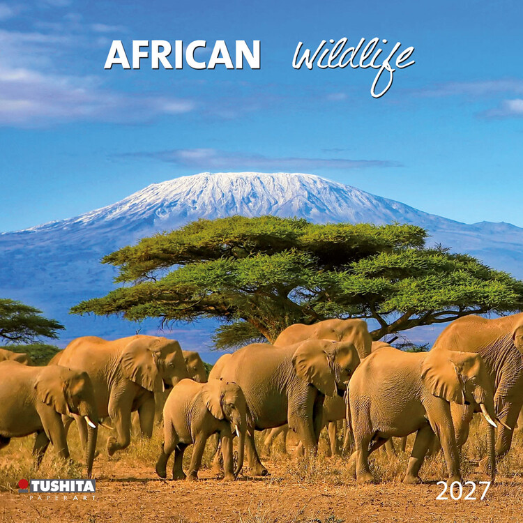Calendario 2027 African Wildlife | 16 mesi