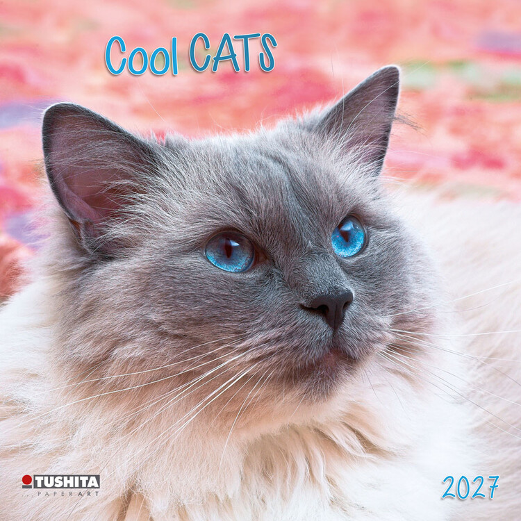 Calendrier 2027 Cool Cats | 16 mois