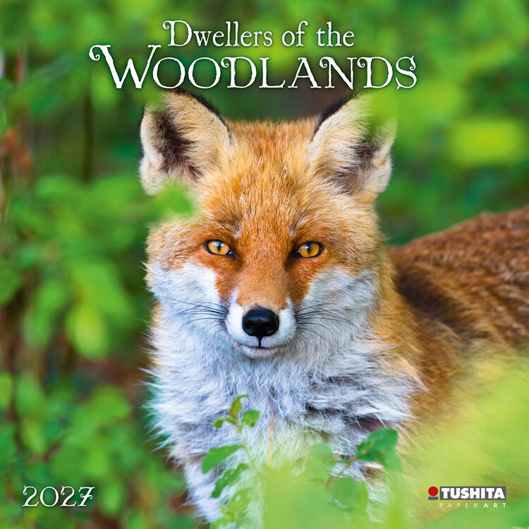 Kalender 2027 Bewohner des Waldes | 16-monatig