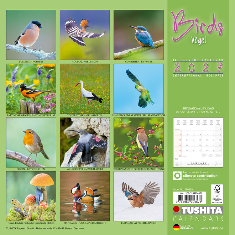 Kalender 2027 Birds | 16-monatig